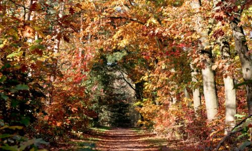 Baumroute Hulsbeek Oldenzaal
