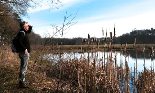 Erve Hulsbeek©HajoBijland2.jpg