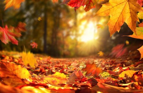 Herfst